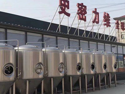 石龙精酿啤酒设备厂—如何判断精酿啤酒设备的密封件需要更换？